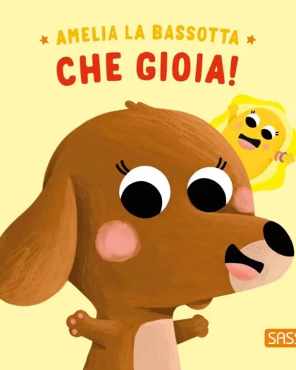 libro per bambini sulla gioia di sassi editori